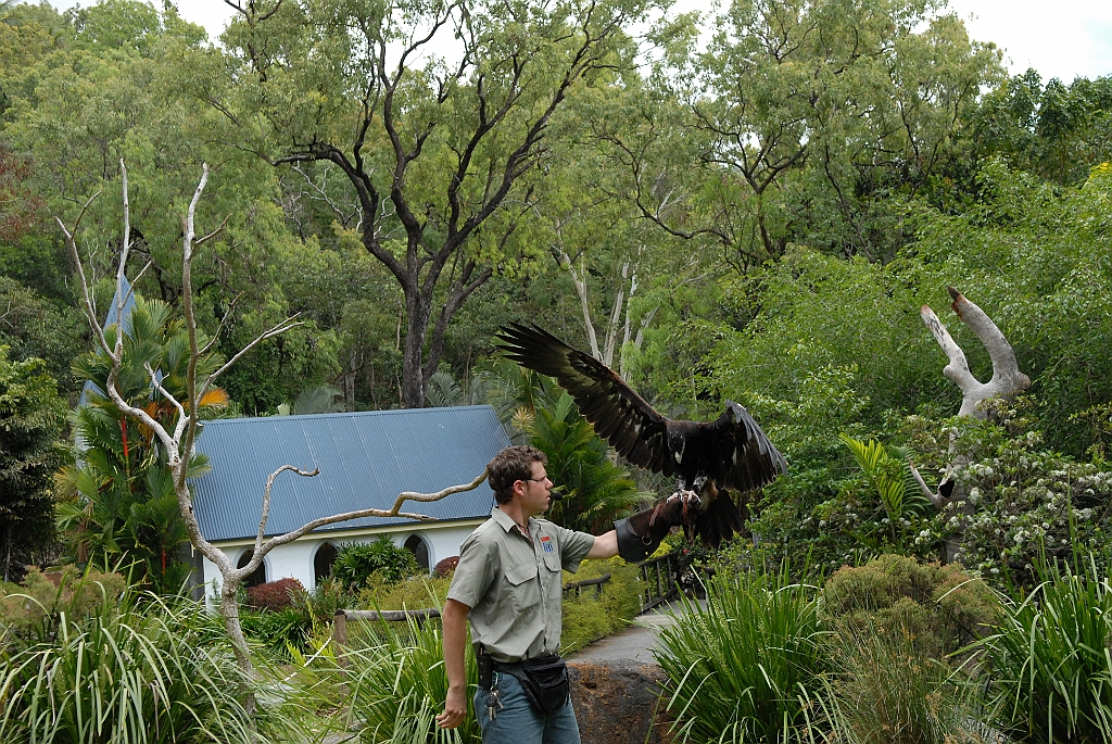 0060 Cairns Tropical Zoo.jpg